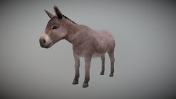 DONKEY ANIMATED animals, donkey, mammal, fur, mule, horse, animation, donkeys, animated-donkey