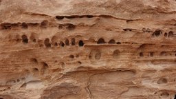 Petra rock wall petra, erosion, rock