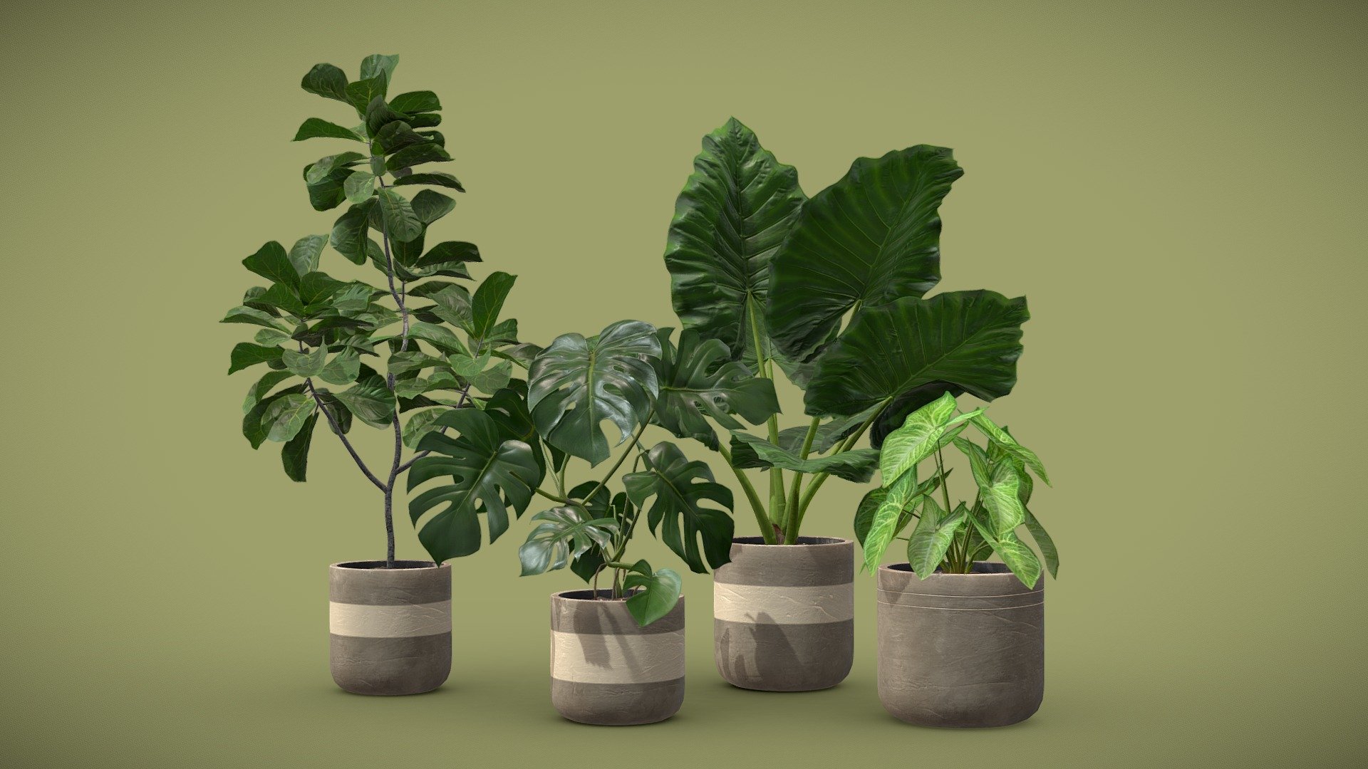 Indoor Plants Pack 21

This selection of indoor exotic plants will provide a nice touch to your interior renders. I kept the polycount relatively low but you can also subdivide the model if you need more definition. 


Ficus Lyrata
Monstera Deliciosa (Swisscheese)
Alocasia
Syngonium Podophyllum

4k Textures


Vertices  45 811
Polygons  42 331
Triangles 82 372
 - Indoor Plants Pack 21 - Buy Royalty Free 3D model by AllQuad 3d model