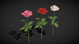 Roses plant, red, flower, flowers, valentine, love, valentines, rose, gift, floral, anniversary, gifts, blossom, roses, romantic, valentines-day, low-poly, lowpoly