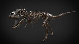 Tyrannosaurus Rex skeleton t-rex, skeleton, bone, 3d-scanning, reptile, naturalhistory, natural-history-specimens, dinasour, photogrammetry, 3dscan, prehistoric, bones, knuthenborg, knuthenborg-safari-park