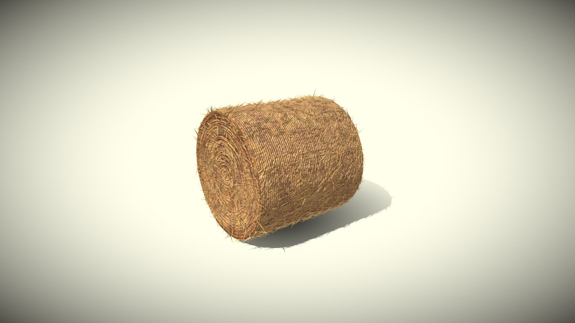 Hay Bale Round 3D Model is completely ready to be used in your games animations films designs etc.  

All textures and materials are included and mapped in every format. The model is completely ready for use visualization in any 3d software and engine.  

Technical details:  


File formats included in the package are: FBX, OBJ, GLB, ABC, DAE, PLY, STL, BLEND, gLTF (generated), USDZ (generated)  
Native software file format: BLEND  
Polygons: 10,384
Vertices: 30,386
Textures: Color, Metallic, Roughness, Normal, AO.  
All textures are 1k resolution.
 - Hay Bale Round 3D Model - Buy Royalty Free 3D model by 3DDisco 3d model