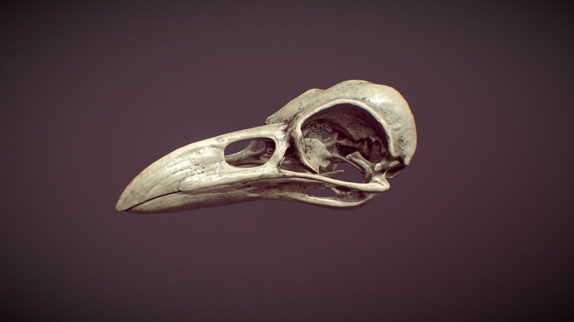 Crow skull
If you like it, you can print it Here via Shapeways - Crow skull - 3D model by justsantiago 3d model