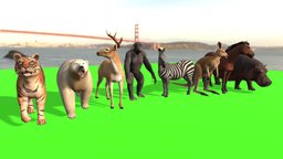 Animals Pack Medium monkey, tiger, deer, zebra, kangaroo, hippopotamus, polarbear, horse