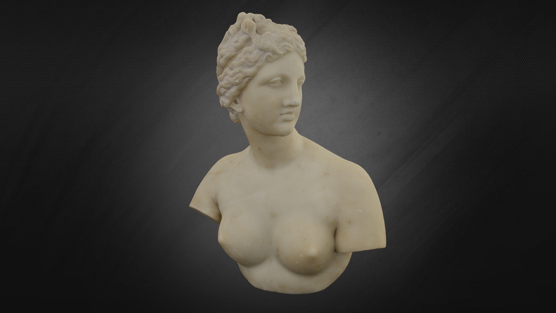 Ferenczy István - Medici Vénusz mellszobor - 3D model by Museum of Fine Arts, Budapest (@mfab) 3d model