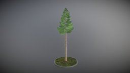 Spruce Tree tree, green, plant, evergreen, vegetation, meter, game-ready, version-2, vis-all-3d, 3dhaupt, software-service-john-gmbh, spruce-tree, low-poly