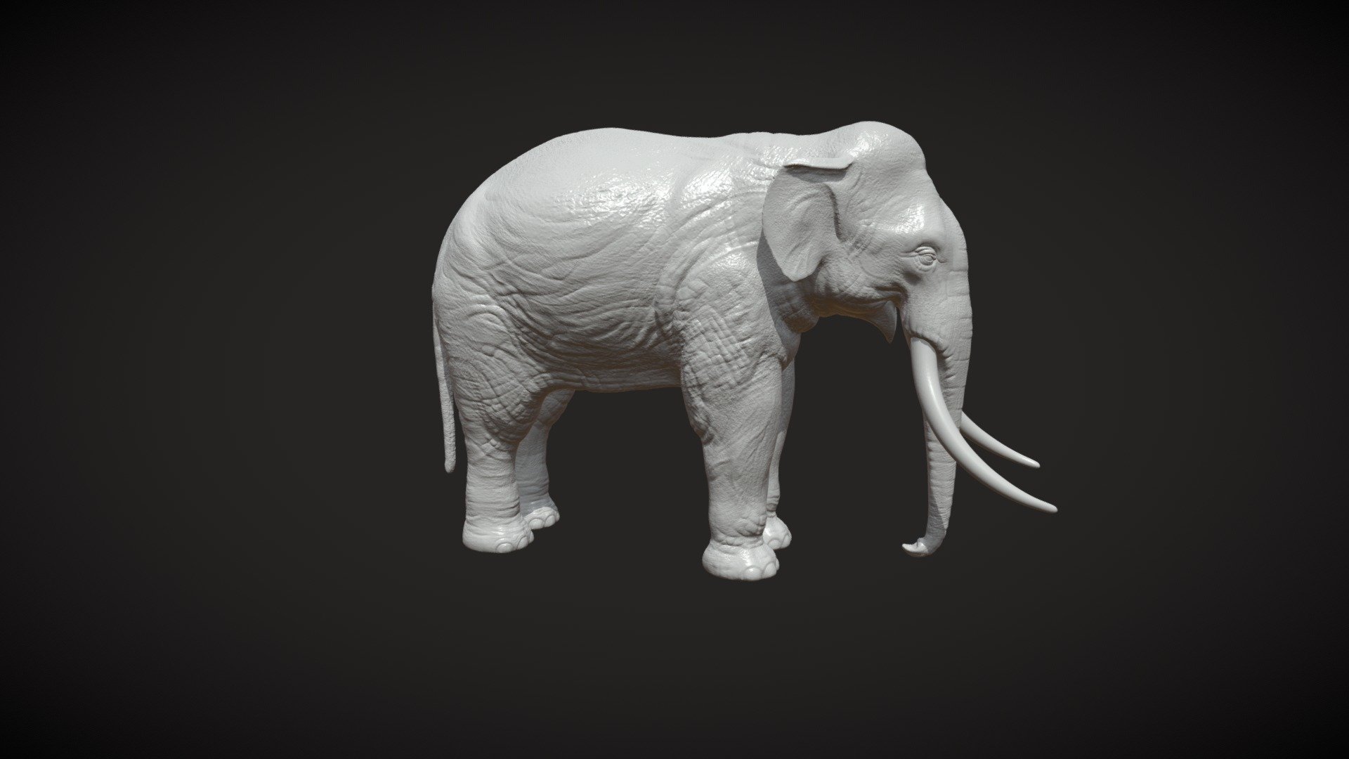 Print ready model of Elephant.

Measure units are millimeters , it is about 3 cm in height.

Mesh is manifold, no bad contiguous edges

Faces : 916252 (tris)
verts : 458128

Each file contains one solid objects. 

Available formats: .blend, .obj, .3ds, .fbx, .dae - Indian Elephant PR - Buy Royalty Free 3D model by Skazok 3d model