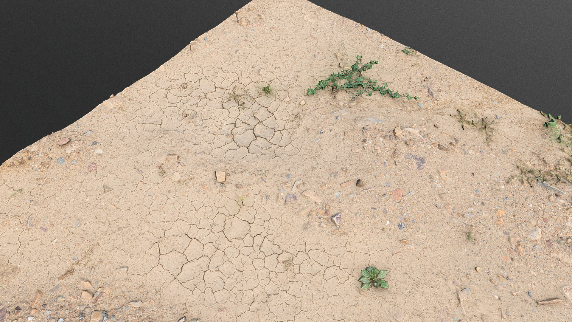 Drought soil desert land with cracks, dry puddle and small plants

Photogrammetry scan 150x24MP, 16K texture - Drought dry soil desert puddle - Buy Royalty Free 3D model by matousekfoto 3d model