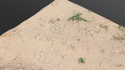 Drought dry soil desert puddle landscape, dune, plants, land, bowl, 3d-scan, desert, mud, ground, earth, rough, puddle, cracked, vegetation, clay, dry, drought, arid, soil, barren, megascan, errosion, photoscan, photogrammetry, texture, gameasset, material