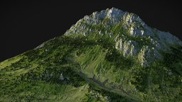 Green mountain tree, grass, cliff, worldmachine, summer, background, mountains