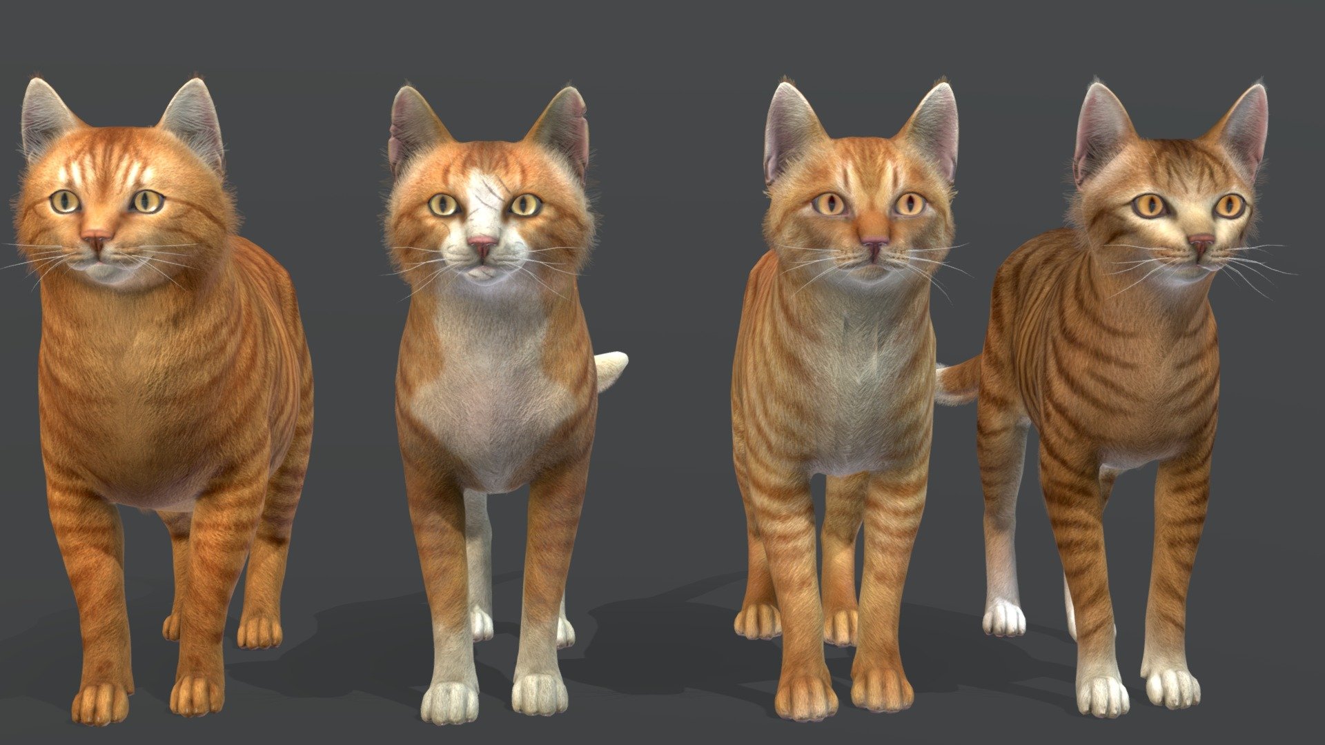 4 geometry options: thin, normal, street and fat.

Each geometry option has 5 types of cat color.

100+ IP/RM animations.

You can see each animation and color on my page with models.

In the attached archive you will find all files with animations.

If you have any questions, please email me 3d model