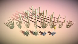 Cactus Set plants, cactus, agave, saguaro, blender, cactii