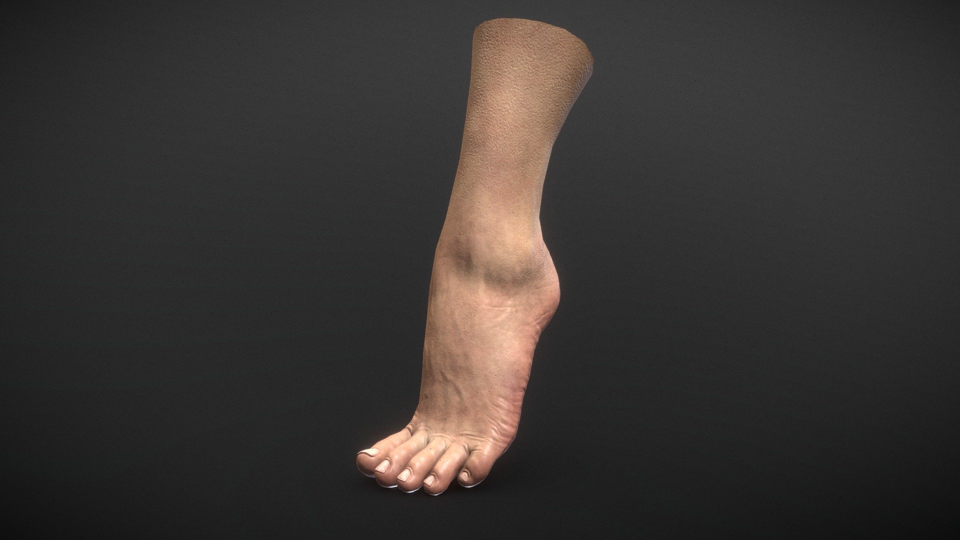 Woman Foot

I use this piece to help modeling Shoes and Boots.

Game and production ready, low poly enough to be esily transformed and adapted to many models. ideal for high quality Projects and Close-Ups.
Toenails are modeled and separated from the skin, can be edited freely.

High Poly provided through ZTL - 7 Subdivision levels

Single UV space
PBR and UE4 4k Textures
Low Poly has 1.5k quads
FBX, OBJ, ZTL - Woman Foot - Buy Royalty Free 3D model by Feds452 3d model