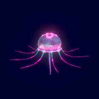 Low Poly Jelly jellyfish