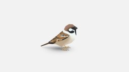 House sparrow bird, birds, animals, fry, vr, ar, sparrow, game, lowpoly, animal, sparrows