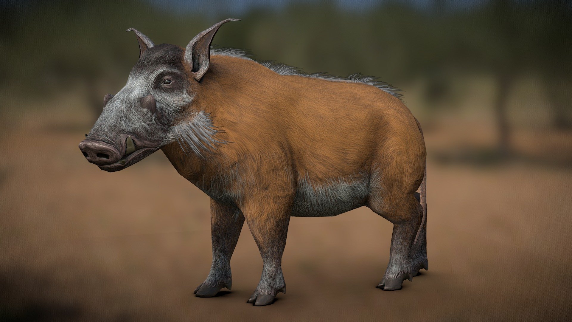 Red river hog (Potamochoerus porcus) was made for the mobile game Wild Hunt for Ten Square Games. 
Sculpture, retopology and uv-mapping made in Blender, textures in Substance Painter and Photoshop - Red river hog (Potamochoerus porcus) - 3D model by 3dbogi 3d model