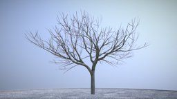 Plum Tree 8m Winter tree, plant, winter, garden, baum, nature, game-ready, blender-3d, seasons, plum, vis-all-3d, 3dhaupt, software-service-john-gmbh, low-poly, lowpoly, wood, leaves