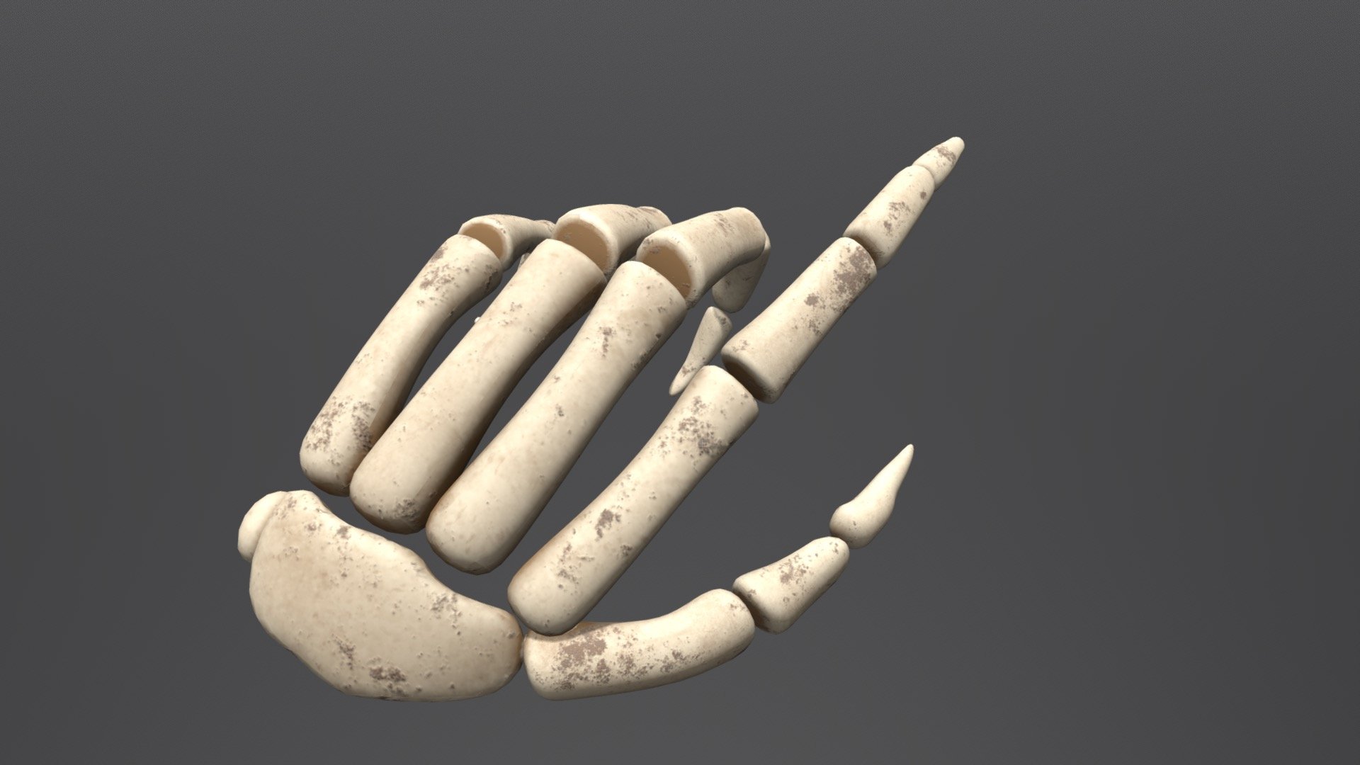 Skeleton Hand Model.  To be used as a cursor for Pirate Moba/RTS type Game 3d model