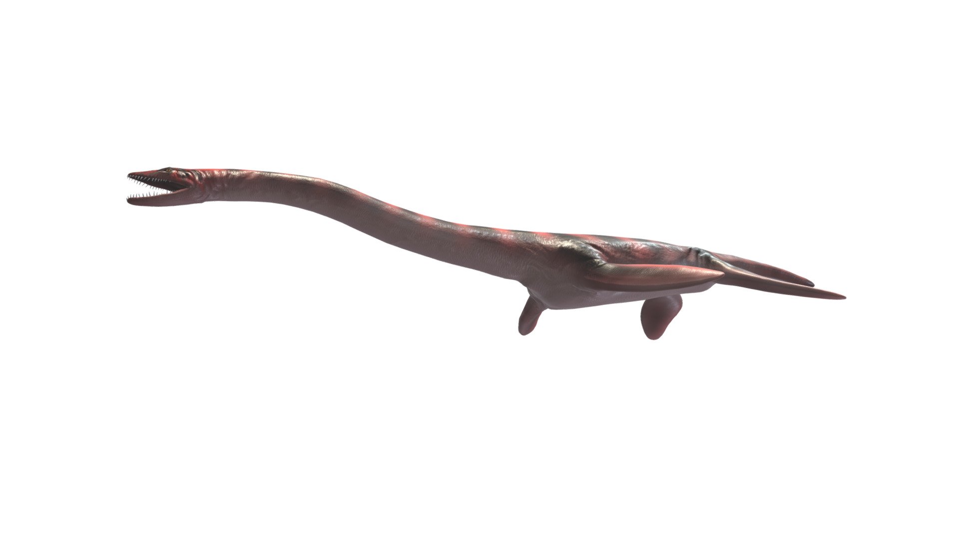 Information:

A fine model of the Plesiosaurus dolichodeirus , made with ZBrush 2019.
It was used to make 2D paleoart renders, now available to include it in your environment 3d model