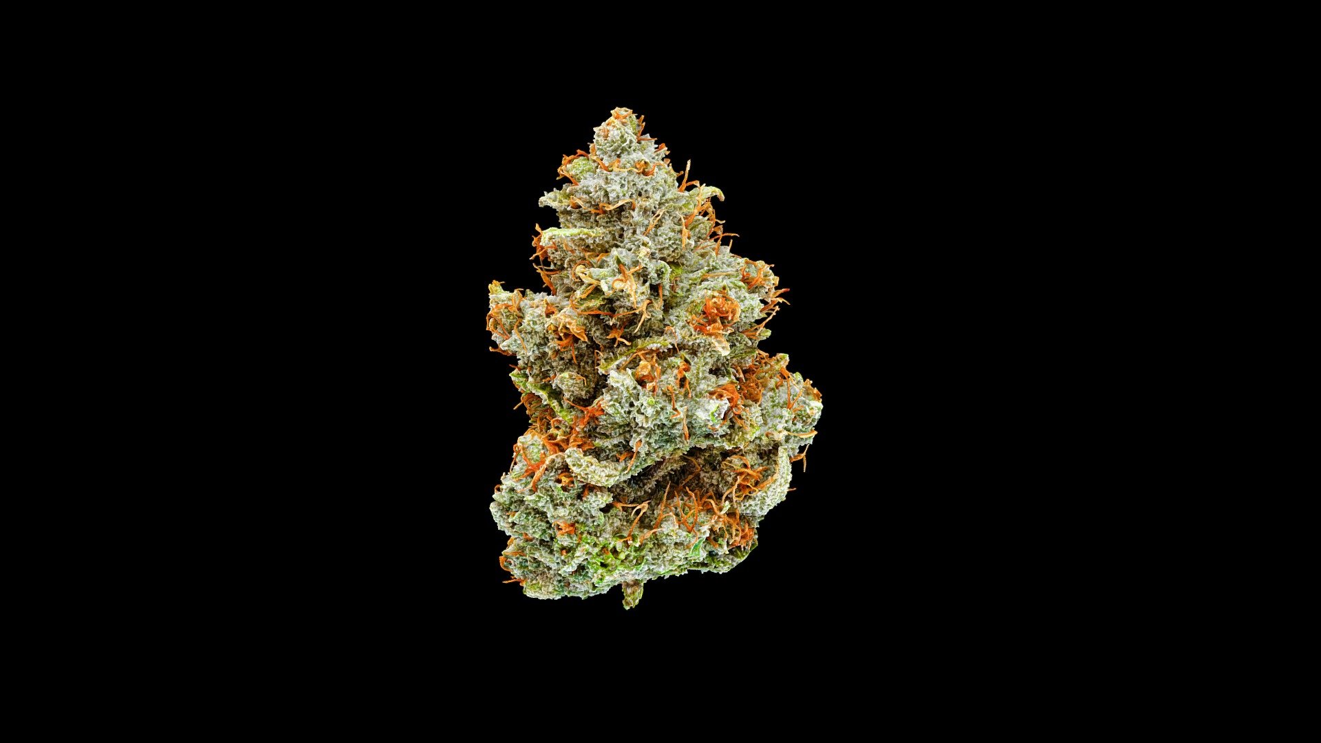 Cannabis bud, Truffle Monkey strain, created using photogrammetry. To be used as part of an NFT collection, and for demonstrating 3D cannabis menu capabilities.

Equipment used: Sony A7R IV, 3DS Max.

Not for sale 3d model