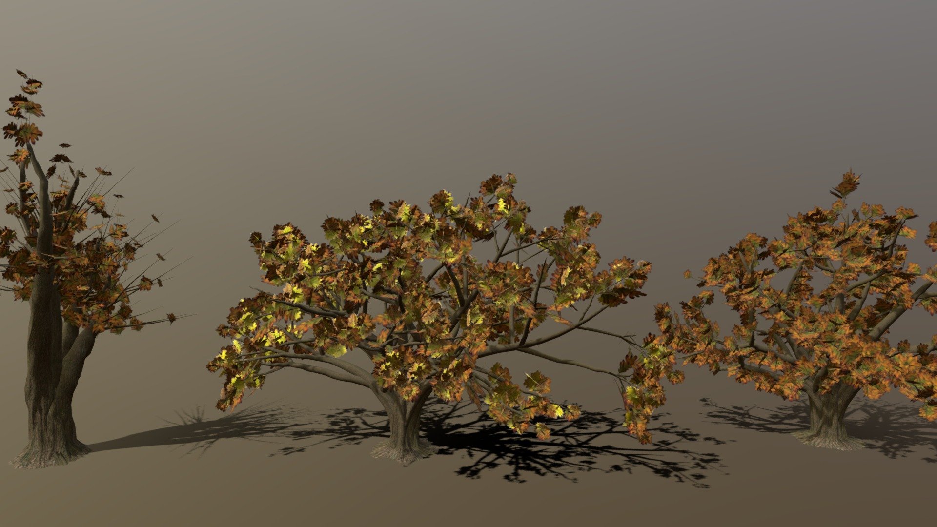 These Oak trees were created as part of a park environment.
The trees were modeled using ther TreeIt Program and textured using Quixel Mixer.
The textrue resolution of the oak tree bark is 2048 3d model