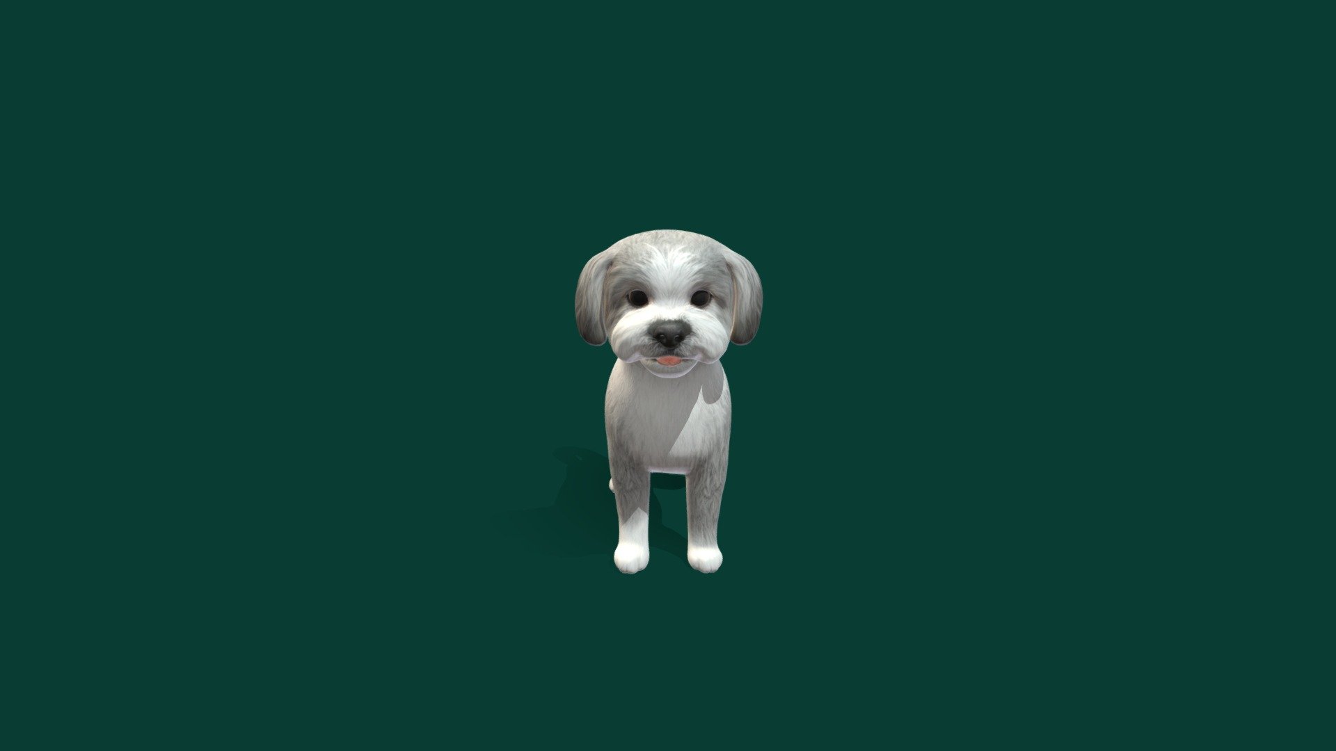 Maltese
Base Color Metallic Roughness and normal map as fbx files.
Maltese Breed
Maltese dog refers both to an ancient variety of dwarf canine from Italy and generally associated also with the island of Malta, and to a modern breed of dog in the toy group. The contemporary variety is genetically related to the Bichon, Bolognese, and Havanese breeds 3d model