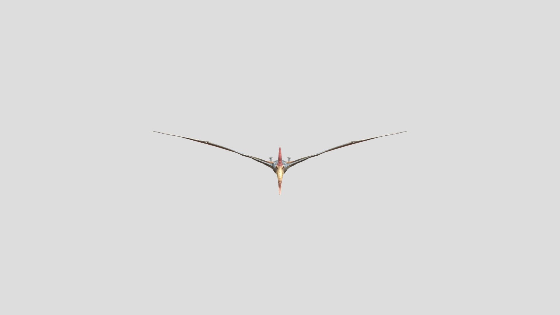 Pteranodon - 3D model by Giang Model 3D (@giangdragon6996) 3d model