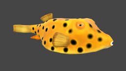 Yellow Boxfish fish, fishing, underwater, animals, shell, ocean, aquarium, aquatic, beach, nature, sealife, seafood, seaworld, boxfish, lowpoly, animal, animated, sea, boat