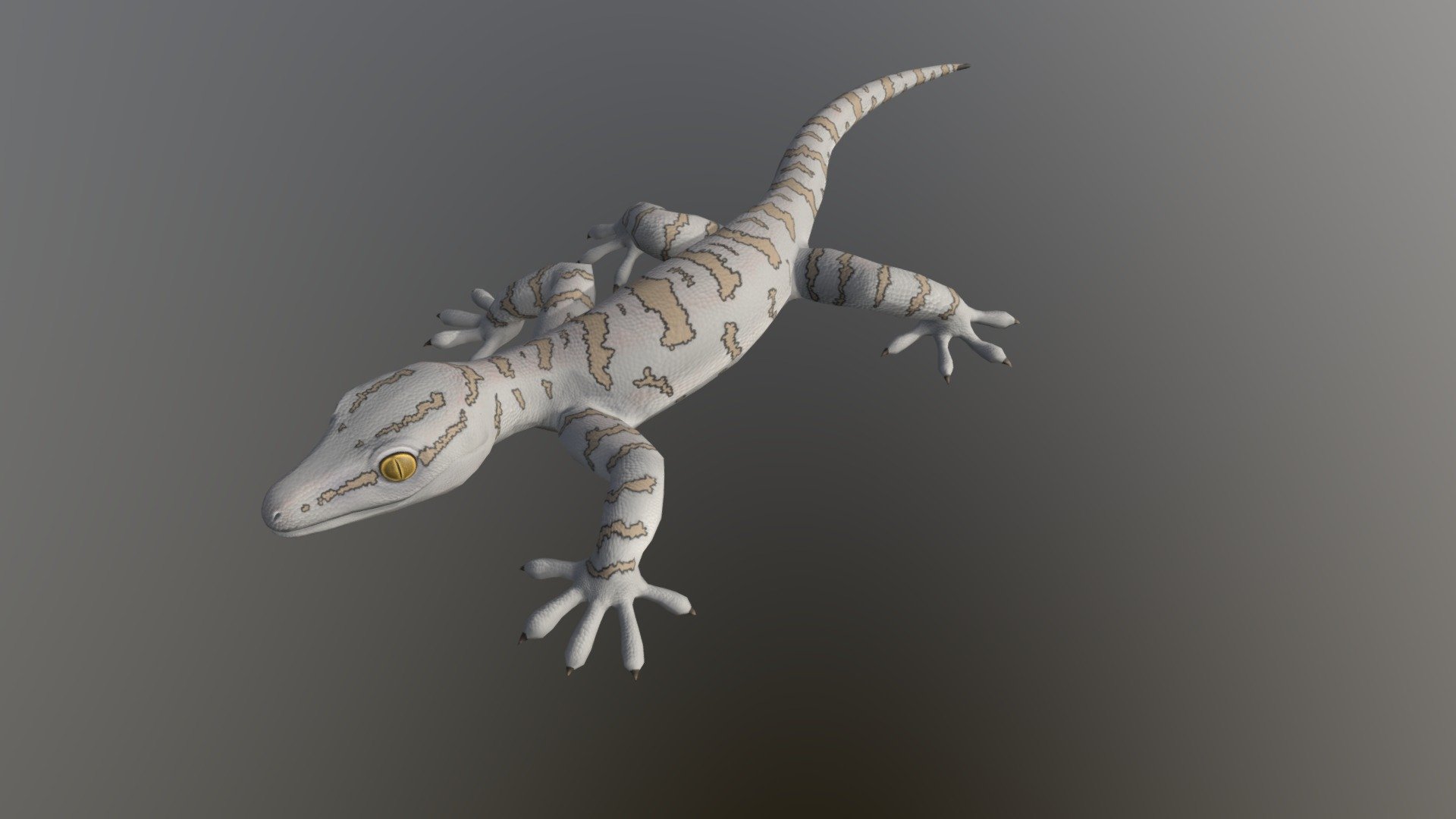 With its sensual movements, you'll be climbing walls

This model was sculpted in ZBrush, rigged and animated in Blender. It comes with 13 skins.

Texture Maps:




Diffuse Map 2048x2048

Normal Map 2048x2048

Roughness Map 2048x2048

Animations:




Idle 1

Idle 2

Walk

Run

Die

The additional file comes with .ztl, .obj, .blend, .fbx files and all the textures.

This model was tested in Unreal Engine 4 as shown in the pictures above

This model was created in a way that it is easy to make changes at your wish.

Got any question or suggestion? Send us a message or leave a coment 3d model