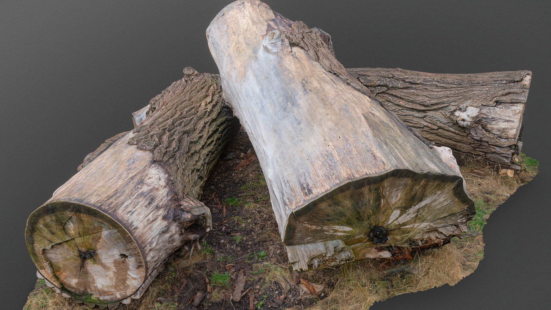 Thick cut down ash tree trunks

photogrammetry scan (150x24mp), 2x16k textures + hd normals  (as additional .zip download) - Thick ash tree trunks - Download Free 3D model by matousekfoto 3d model