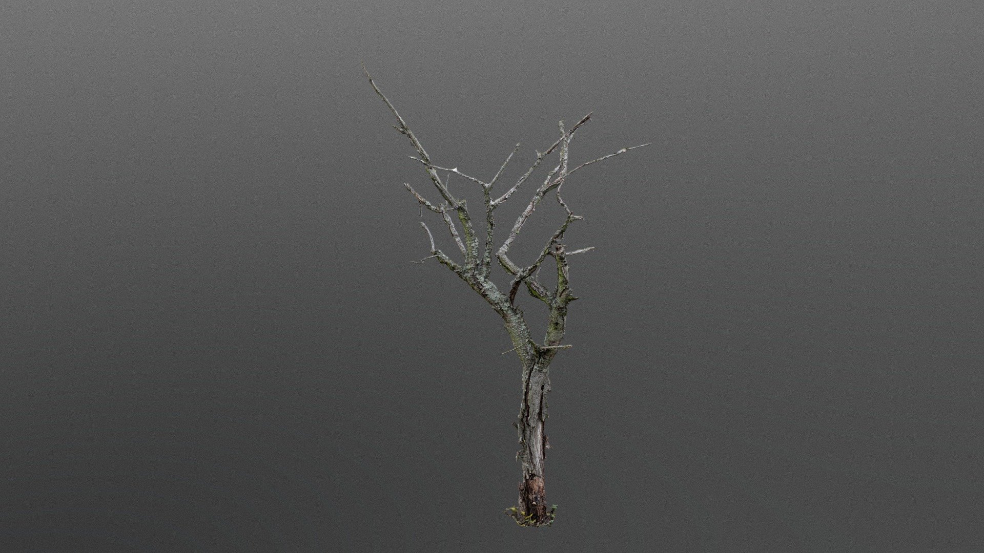 Photogrammetry from 291 photos, 8,9MP - Reality capture

Canon 6D mkII + Dji phantom 4 - The Old Dead Tree - Buy Royalty Free 3D model by kubacpetr 3d model