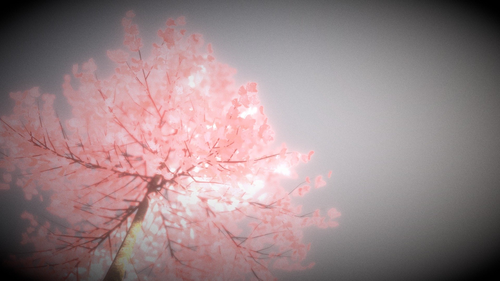 Support me post more free and better models by Patreon
I am also doing 3D modeling commissions, and please contact me by chambersu1996@gmail.com for more information~

Here is a tree with Pink Leaves and wind. Try to match the memory about laying under a big tree, while maybe I have not did such a thing in real life.
I will build a tree through the all seasons 3d model