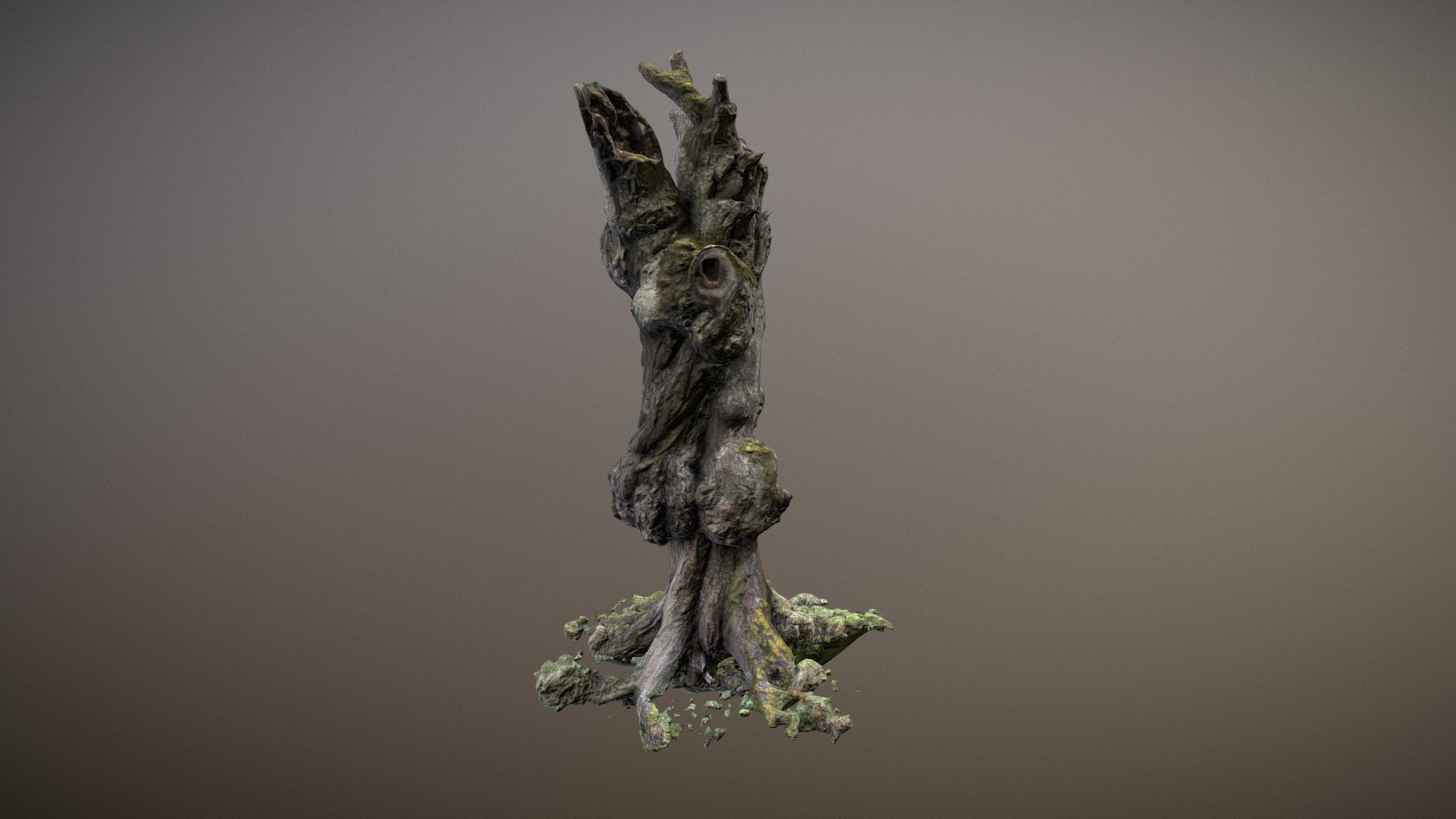 Dead tree trunk - 3D model by Tomy Erdin (@Tomy_Erdin) 3d model