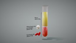 Composition of Whole Blood