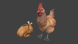 ANIMAL & FOOD | Chicken Model (CS2)
