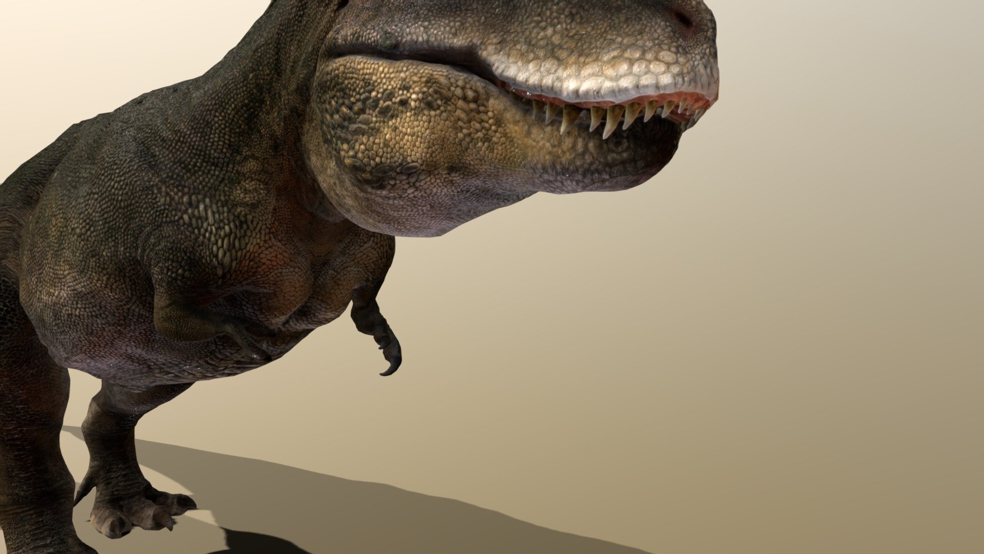 Tarbosaurus model - Tarbosaurus - Buy Royalty Free 3D model by robertfabiani 3d model