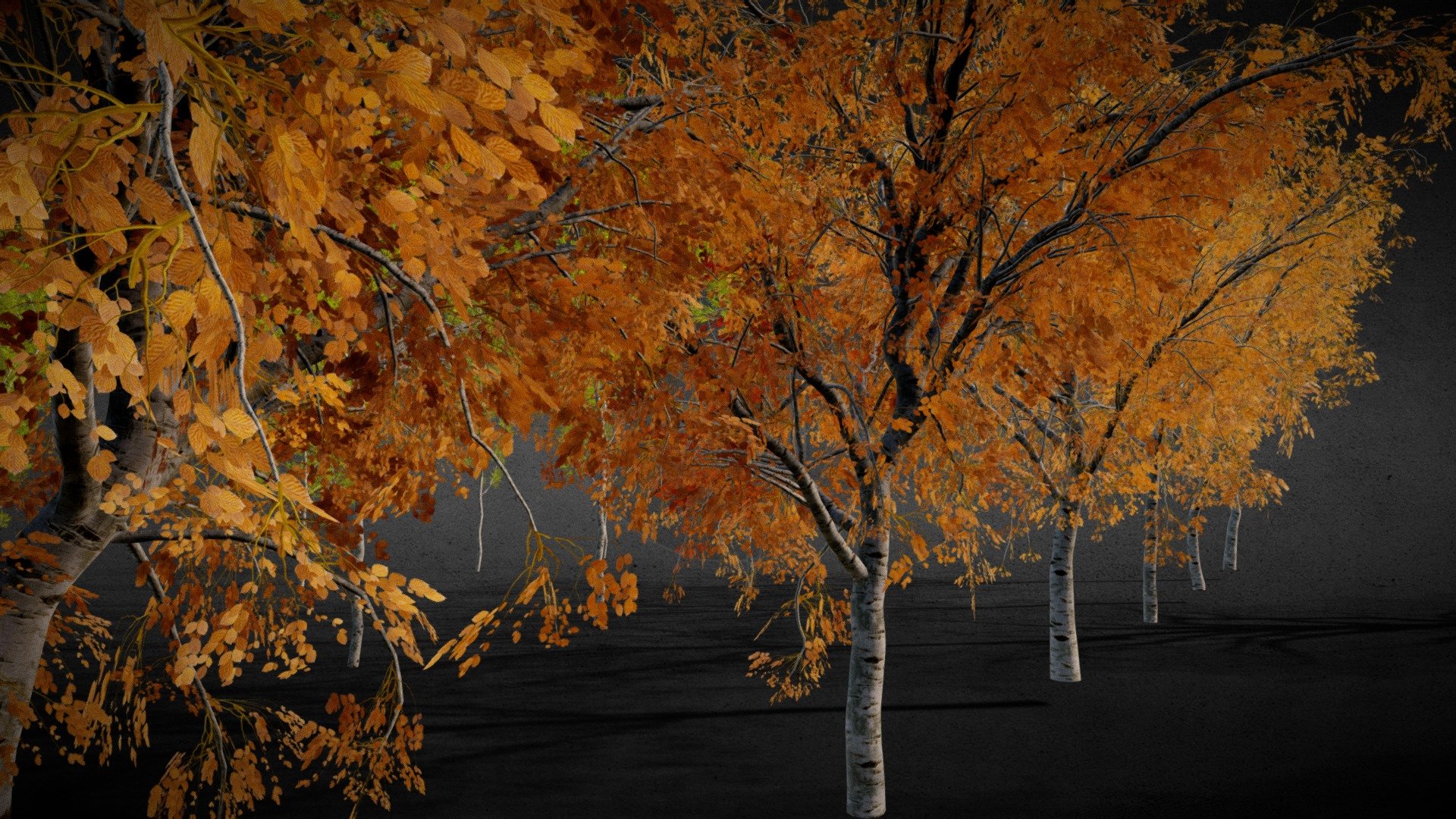 Mid/Low Poly Autumn Trees Collection with 1k and 2k Textures,you can use any bark textures you like!
Full Scene File:Click Here


All the Textures and required blend files are included in the additional Files.

The Above Full Scene File is also included in the Additional Files.

Thank you! - Mid/Low Poly Autumn Trees Collection - Buy Royalty Free 3D model by Nicholas-3D (@Nicholas01) 3d model