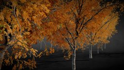 Mid/Low Poly Autumn Trees Collection