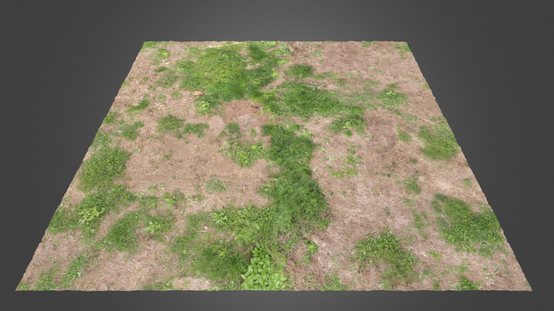 In this material a ground texture for grass is presented.

Following seamless 4K maps are used: Albedo, Normal, Height &amp; AO.

For the scan a 4x4 meter square was use 3d model