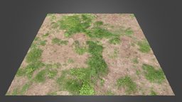 Grass Ground VI landscape, grass, texture, material