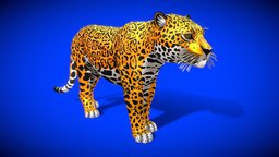 Stylized jaguar body, cat, exhibit, feline, claws, american, gamedev, giant, zoo, spots, tail, jaguar, onca, panthera, whiskers, metaverse, rosettes, stocky