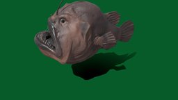 Anglerfish (Non-commercial) fish, anglerfish, animal, nyilonelycompany