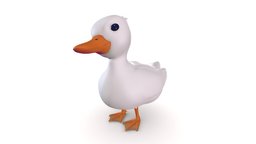 Cute little Duck cute, little, bird, white, duck