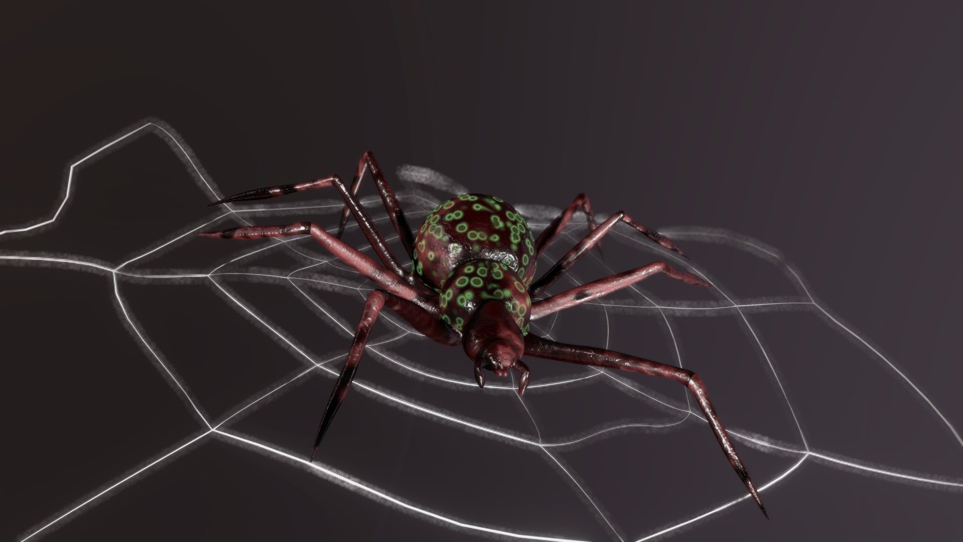 A spider on a web. It does not resemble an actual species since I made it up. The model was rigged intially but the sketchfab renderer wouldn't display it properly so I had to apply the armature and delete it. You can find the original model here https://www.blendswap.com/blends/view/84144 - Spider - Download Free 3D model by iamlookingforthebathroom 3d model