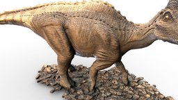 Амурозавр Рябинина | Amurosaurus riabinini