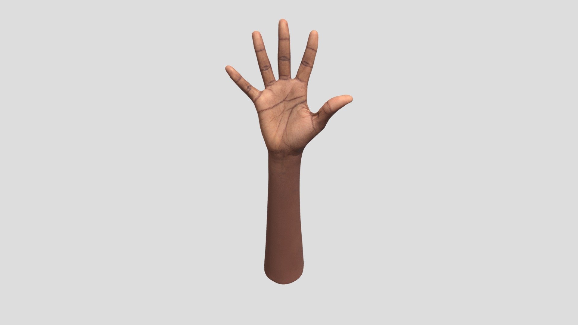 We would like to introduce you to one of the many retopologized hands that offers precise retopology.This hand is perfect for anyone looking for a realistic and aesthetically crafted model for their projects. Find out how this collection can enrich your creative work and give it the visual punch it needs!

Ethnicity: Black
Gender: Female
Age: 25
Height: 173 cm
Weight: 62 kg

NOTE: Retopologized scan with postproduction.

Technical Specifications:

1 x OBJ. File / 19 600 polys
2 x 8K PNG Texture - Diffuse, Normal

3Dsk provides all you need from virtual casting studio. Model casting, neutral &amp; morph expression scans, full body scans, accessories and cloth scans, 3D postproduction, photoshooting of full body, portrait, hair, eyes and skin &amp; other on demand services 3d model