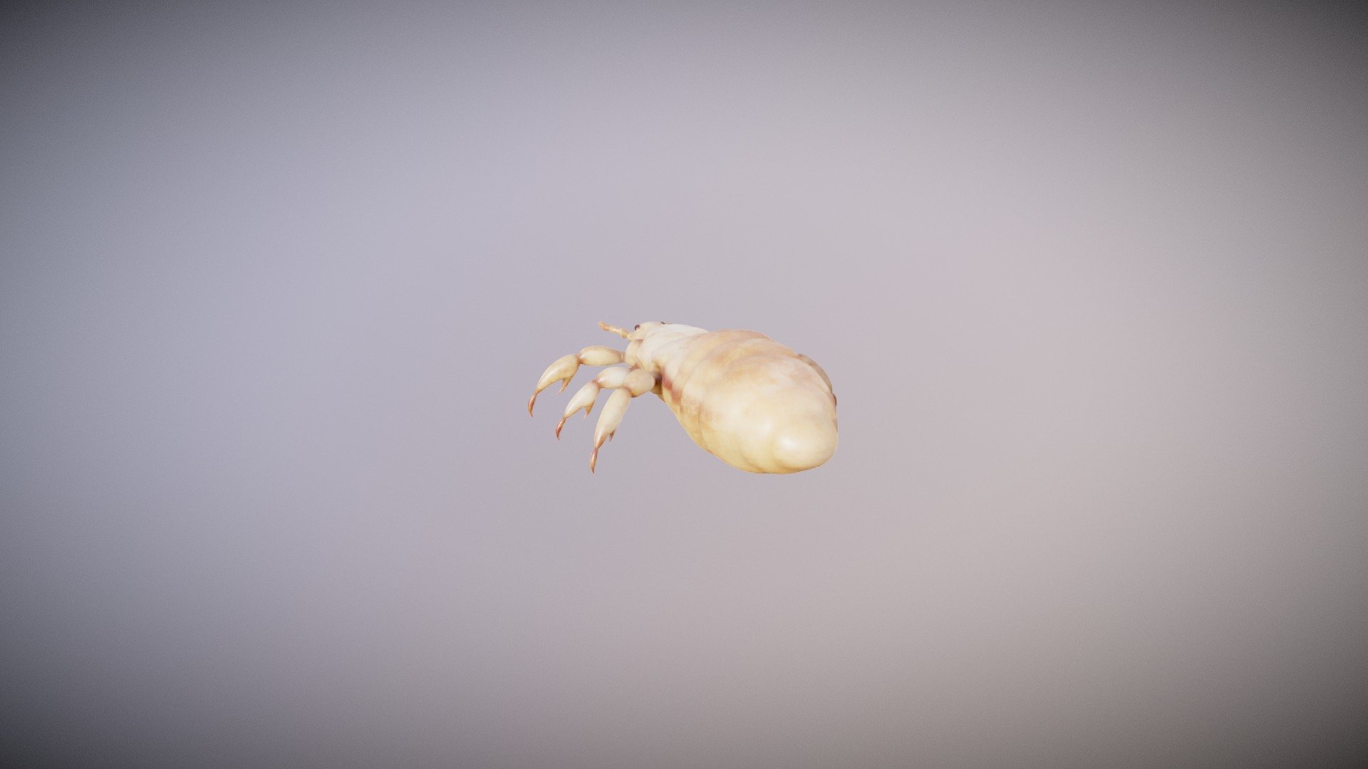 Microbes - Head Lice - 3D model by Vida Systems (@objects1) 3d model