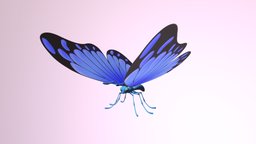 Butterfly cartoony, butterfly, blue