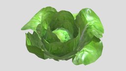 Lettuce Low Poly PBR Realistic green, plant, food, garden, detailed, vr, meal, ar, leaf, realistic, lettuce, vegetable, cabbage, salad, unwrapped, crop, sativa, asset, game, 3d, home, textured, lactuca
