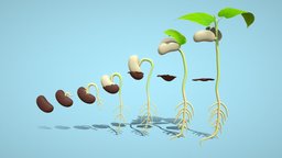 Seed Germination plant, and, is, by, an, or, as, example, from, this, may, different, which, be, seed, single, species, grow, a, the, what, common, both, into, quality, process, crop, yield, sprouting, fundamental, defined, seedling, of, angiosperm, germination, influences